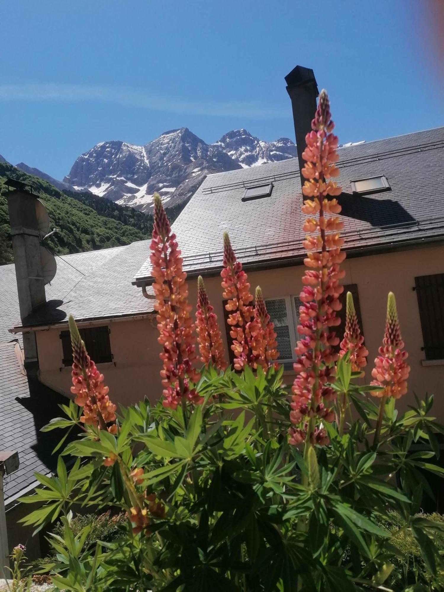 Chambres D'Hotes L'Astazou Gavarnie Kültér fotó