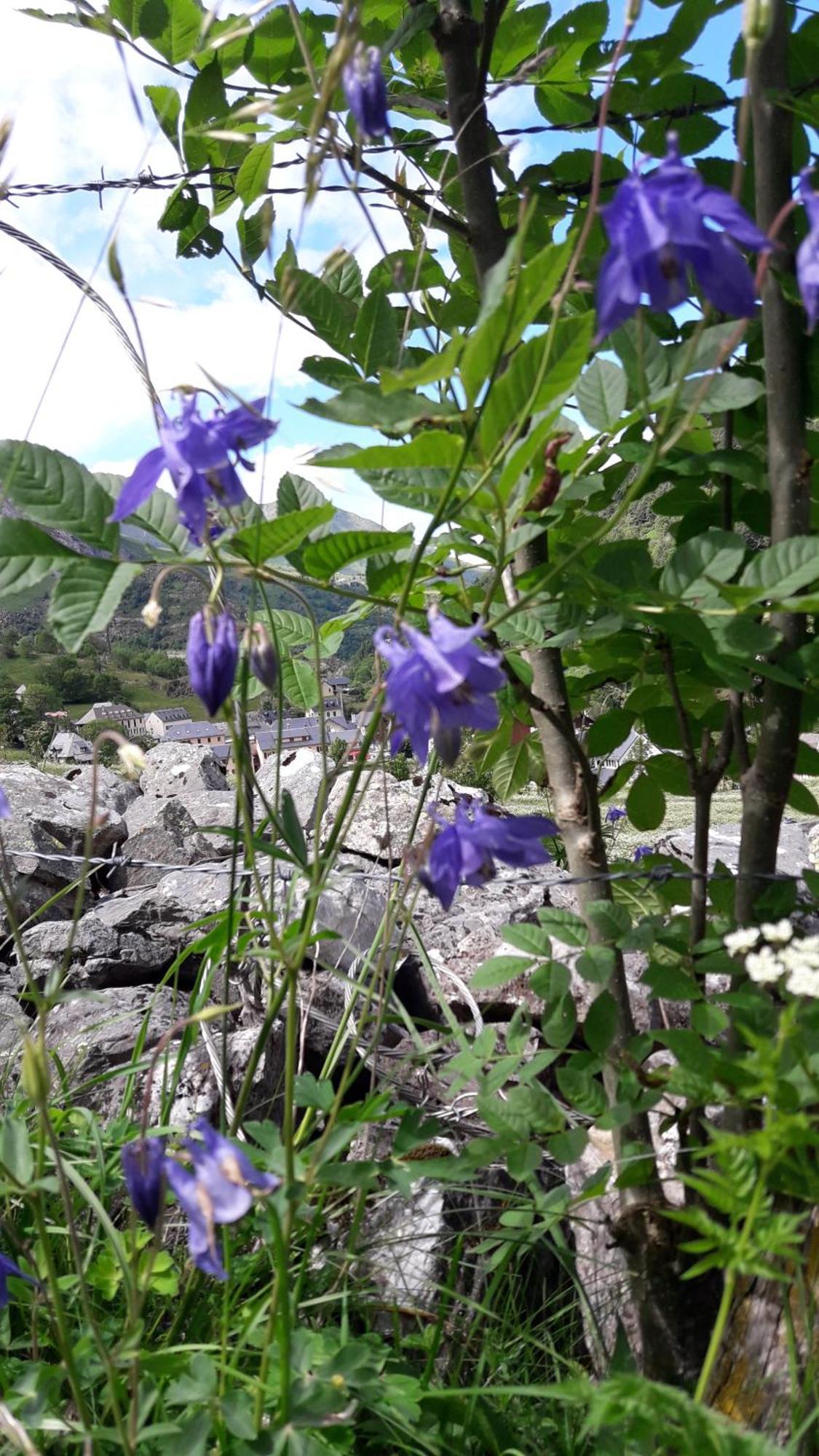Chambres D'Hotes L'Astazou Gavarnie Kültér fotó